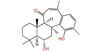 Phorone B